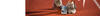 SiteHeaders-Running1.jpg